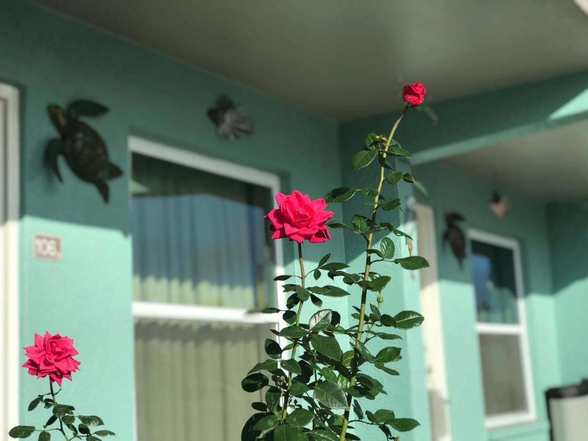 Immokalee Inn エクステリア 写真